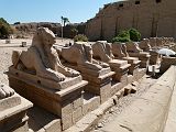 Karnak Temple Amon Allee Sphinx Belier 0088